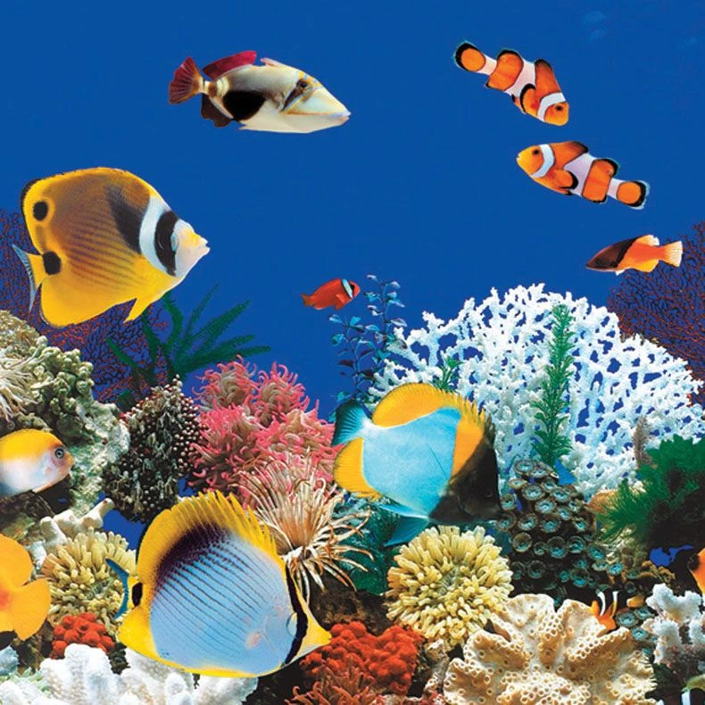 Swimline J-Hook Unibead Pool Liners, 20 Gauge 4 Swimline J-Hook Unibead Pool Liners, 20 Gauge - Image 2