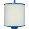 Pleatco Filtration PMAX25P4-EC Spa Filter Cartridge Replacement For Unicel: 5CH-25, OEM Part Numbers: 108868, 1 Pack