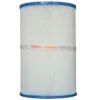 Pleatco PPF25 Filter Cartridge