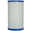Pleatco PVT25N-XP Filter Cartridge